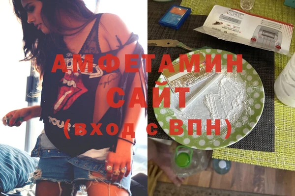 крисы Инта