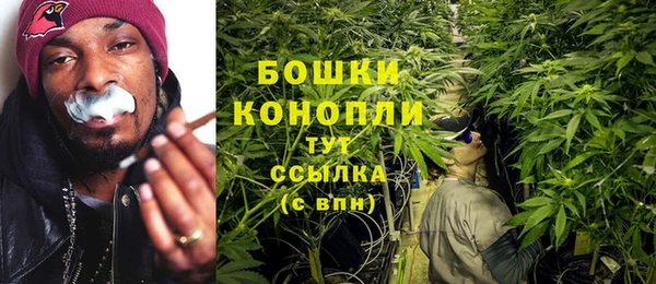 крисы Инта