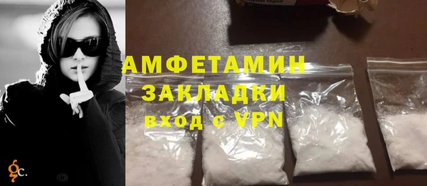 крисы Инта