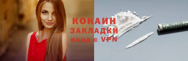 крисы Инта