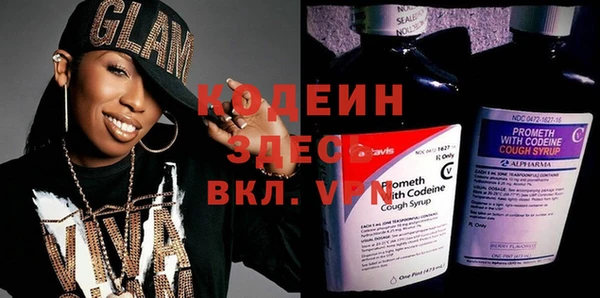 крисы Инта