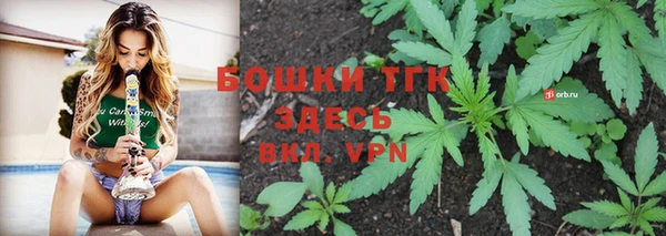 ALPHA-PVP Инсар